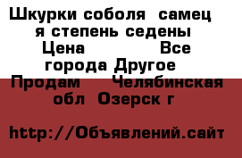 Шкурки соболя (самец) 1-я степень седены › Цена ­ 12 000 - Все города Другое » Продам   . Челябинская обл.,Озерск г.